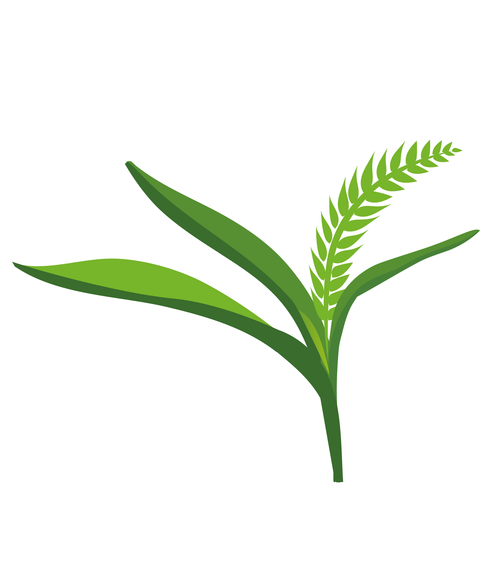 Agroalianza en blanco logo